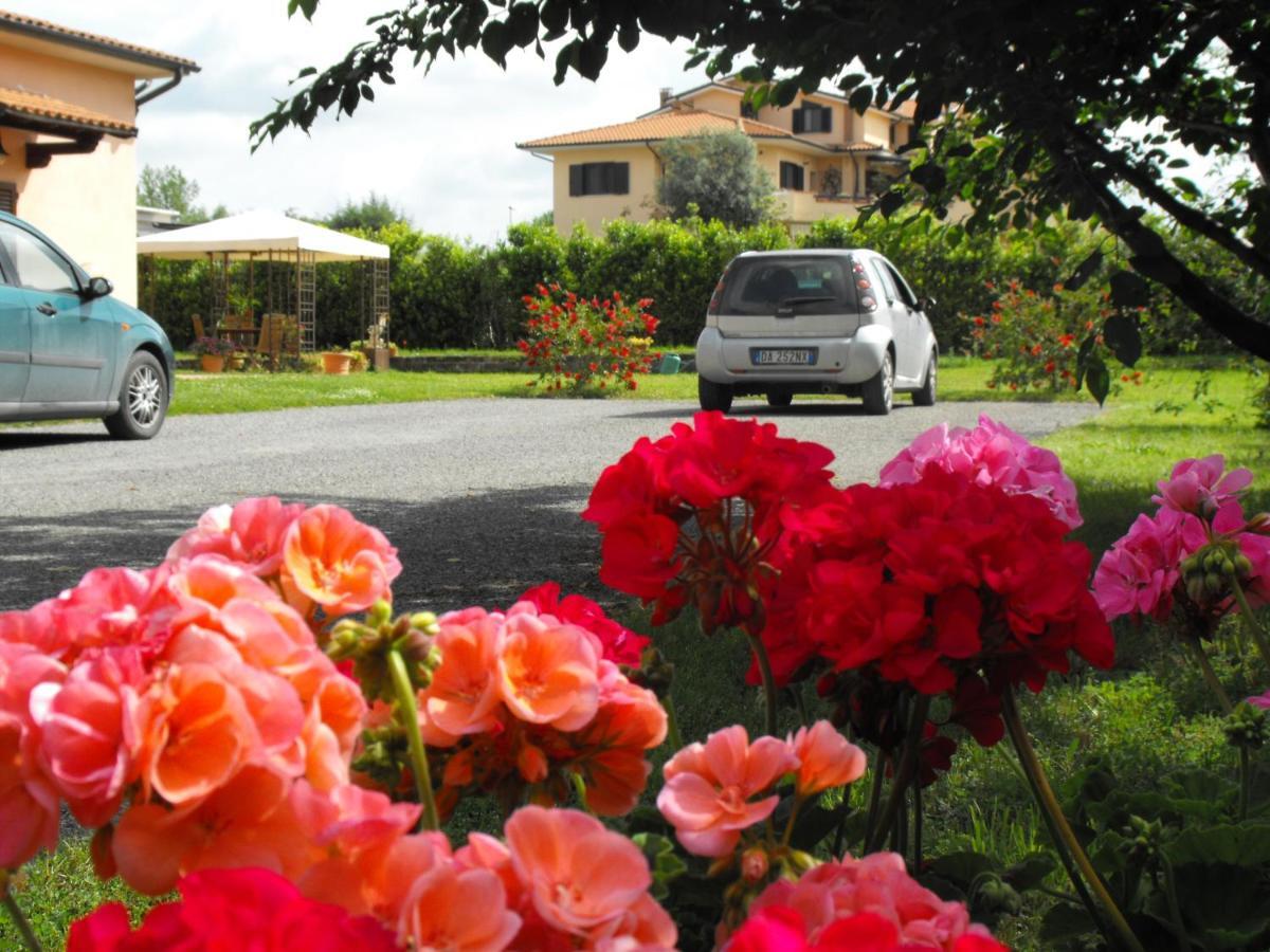 Villa Etruria Guest House Guest house *